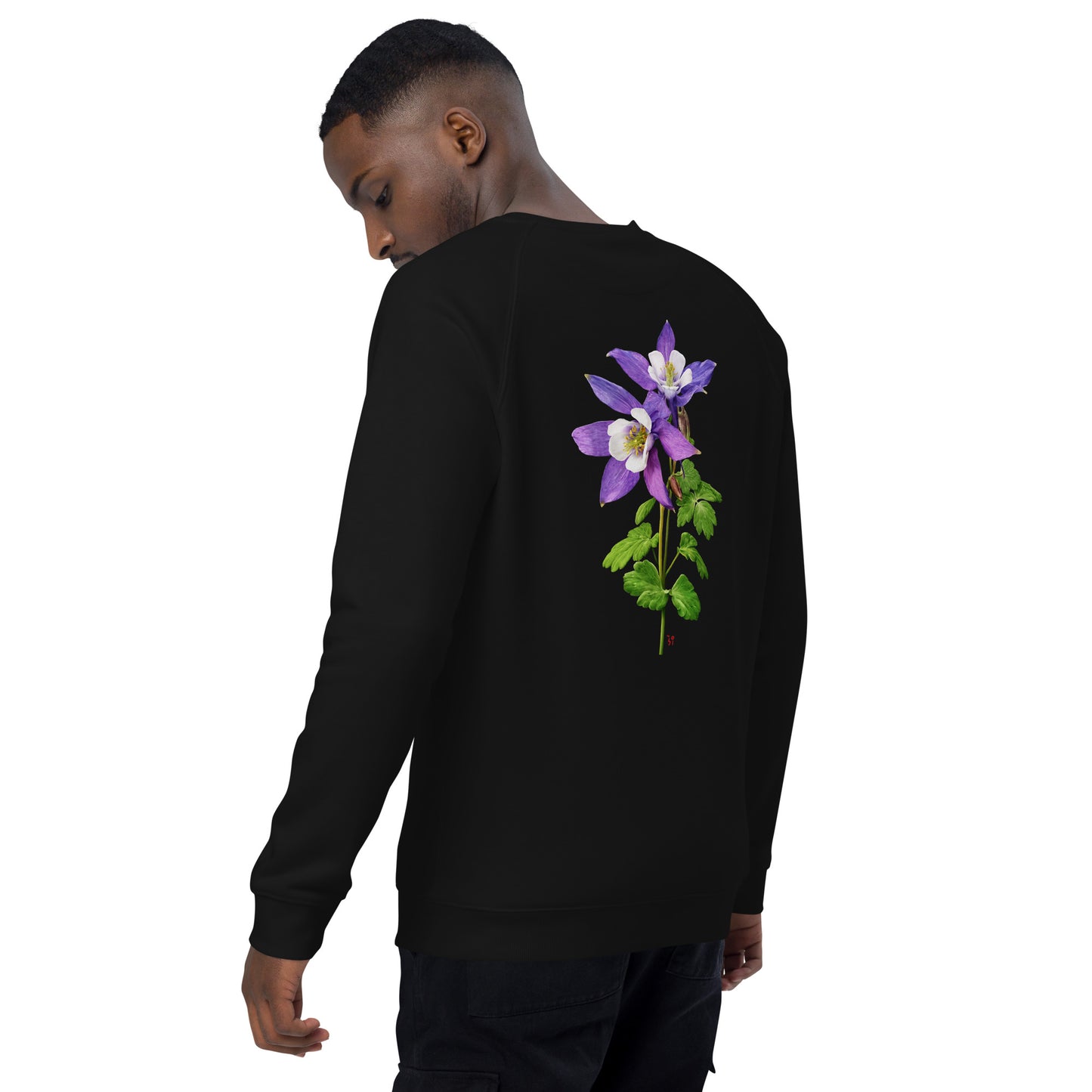 Columbine Unisex organic raglan sweatshirt