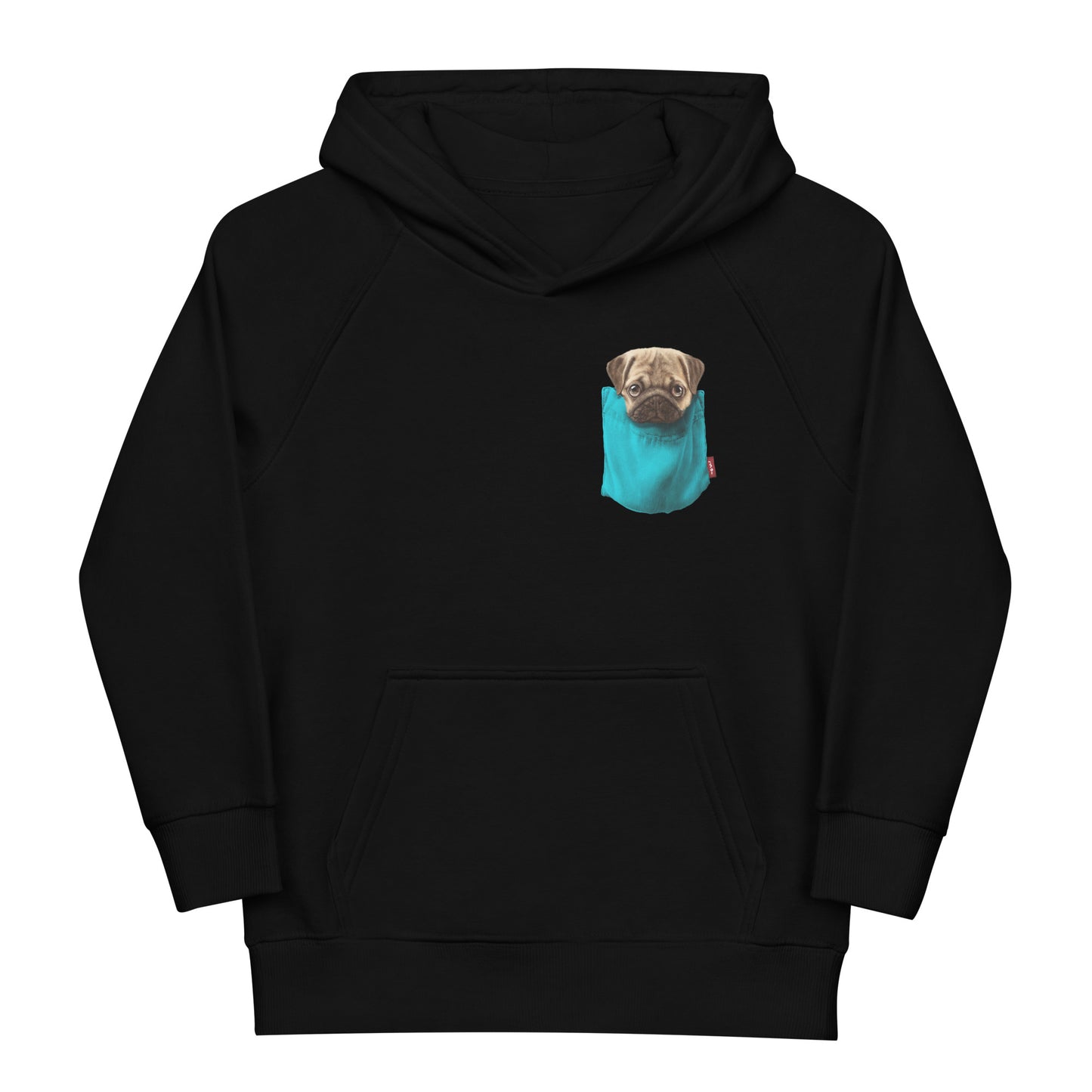 Pug Kids eco hoodie