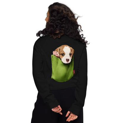 Jack Russell Terrier Unisex organic raglan sweatshirt