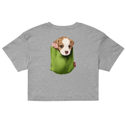 Jack Russell Terrier Women’s crop top