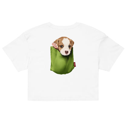 Jack Russell Terrier Women’s crop top