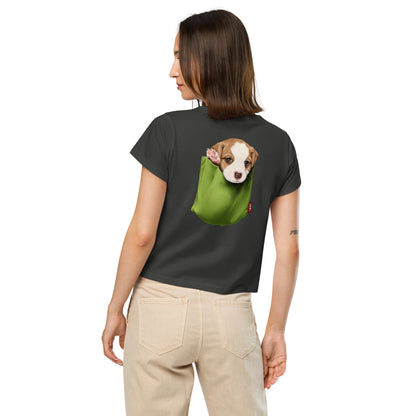 Jack Russell Terrier Women’s high-waisted t-shirt