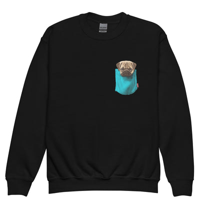 Pug Youth crewneck sweatshirt