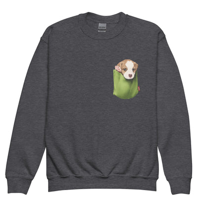 Jack Russell Terrier Youth crewneck sweatshirt