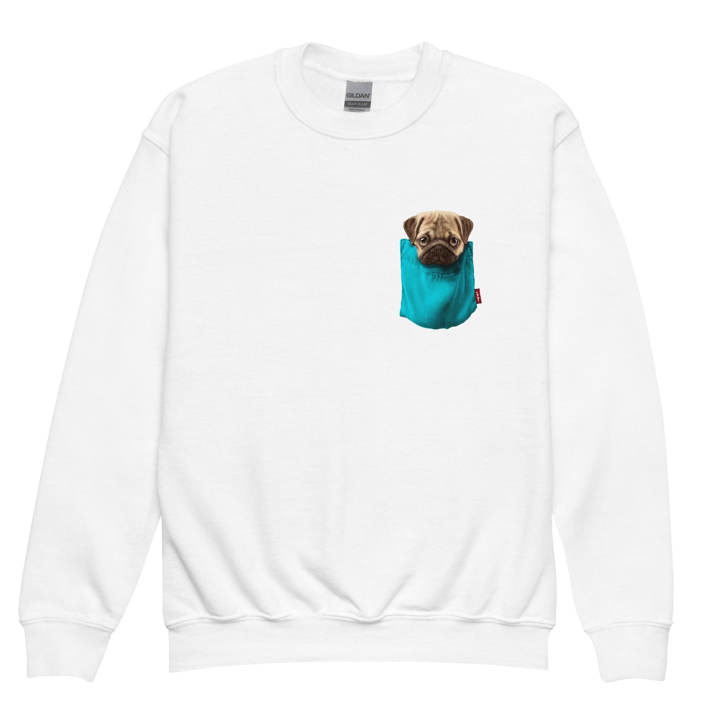 Pug Youth crewneck sweatshirt