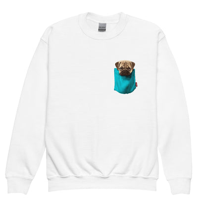 Pug Youth crewneck sweatshirt