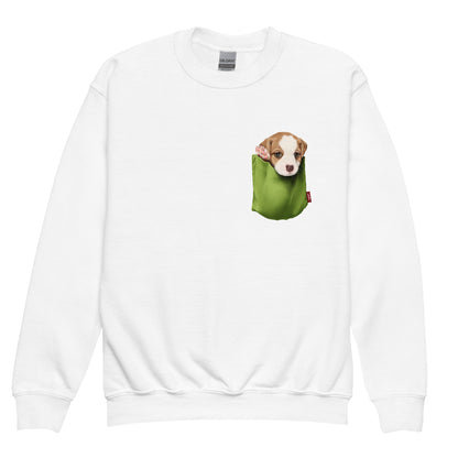 Jack Russell Terrier Youth crewneck sweatshirt