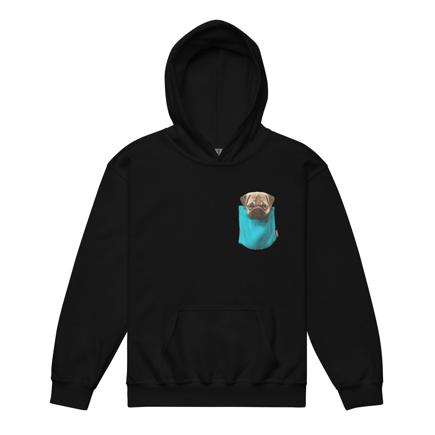 Pug Youth heavy blend hoodie