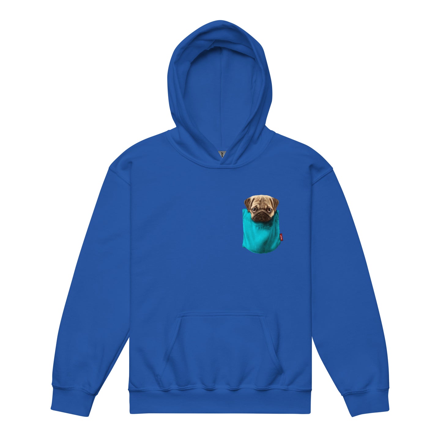 Pug Youth heavy blend hoodie
