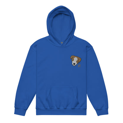 Jack Russell Terrier Youth heavy blend hoodie