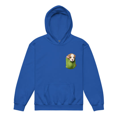 Jack Russell Terrier Youth heavy blend hoodie