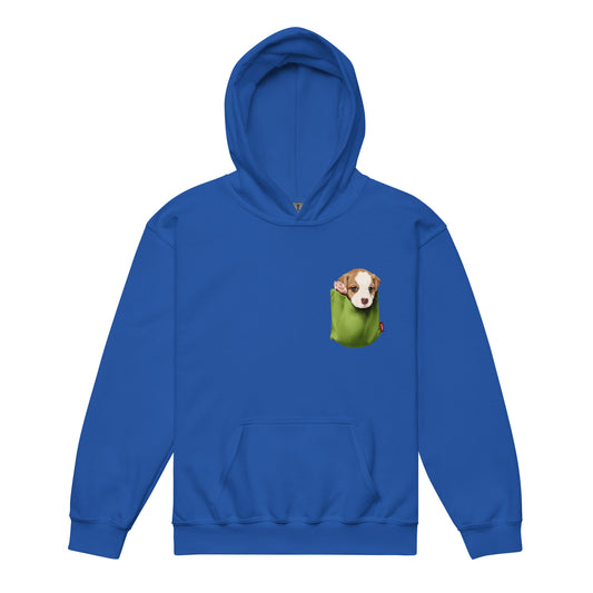 Jack Russell Terrier Youth heavy blend hoodie